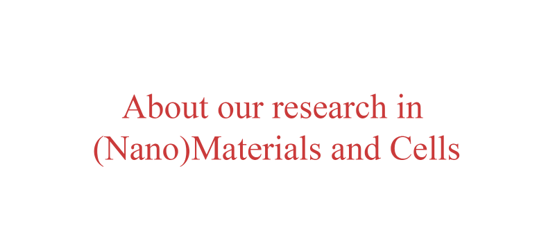 About our research in (Nano)materials and Cells.png